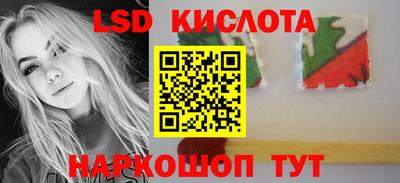 ГАЛЛЮЦИНОГЕННЫЕ ГРИБЫ Кулебаки