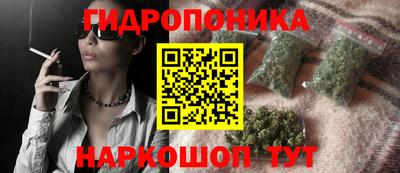 гидропоника Кунгур