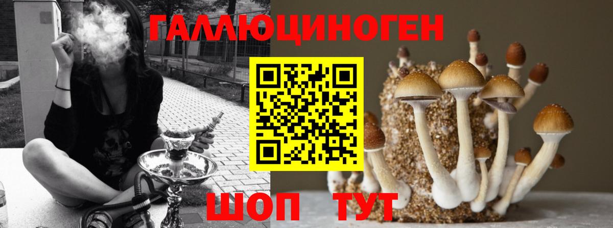 Псилоцибиновые грибы GOLDEN TEACHER  Вход с VPN  наркота  Ижевск 
